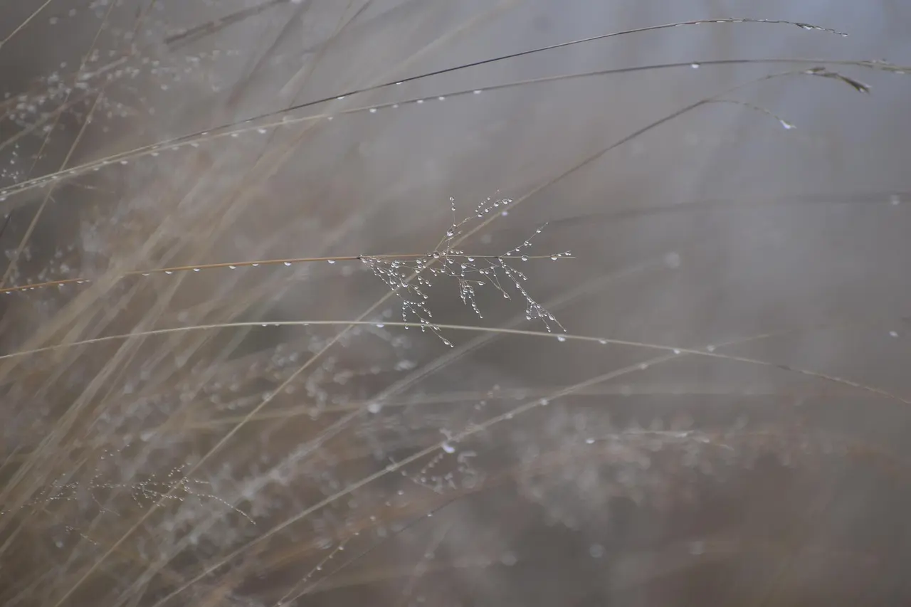 Morgenro i kaos: 7 rutiner der får hele familien ud ad døren til tiden